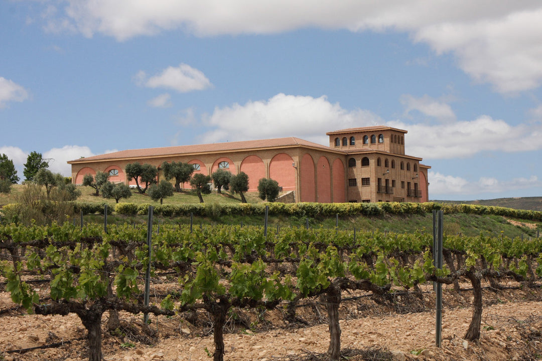 Bodega Pago Aylés