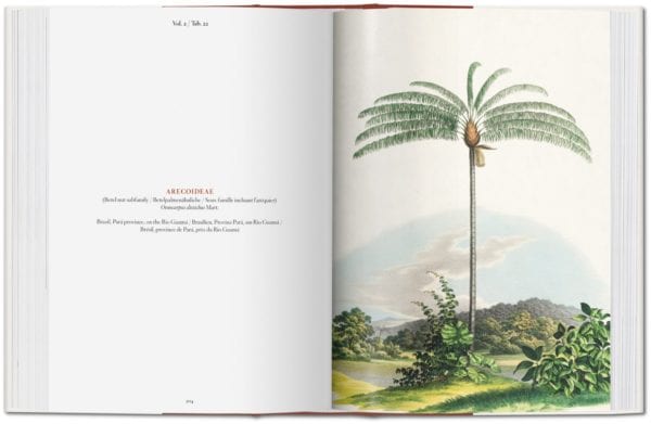 The Complete Plates The Book of Palms XL