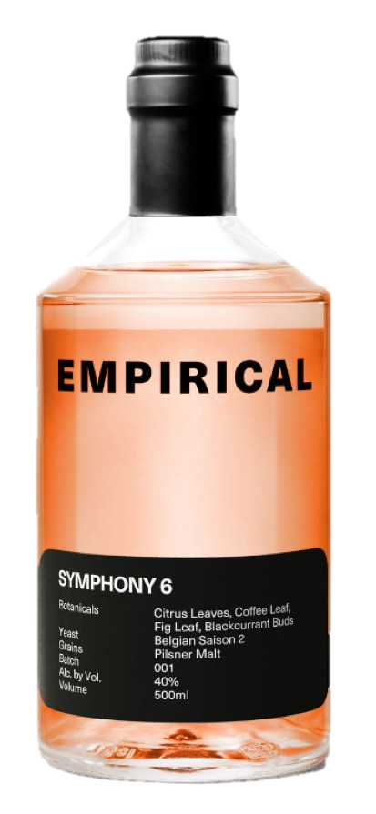 Empirical Symphony 6
