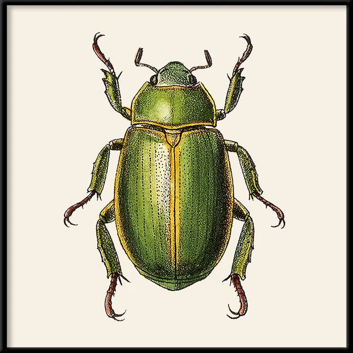 The Dybdahl Co. - Green Insect Mini Plakat 15x15