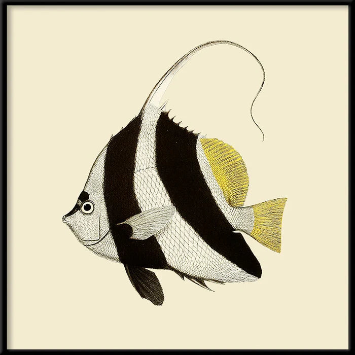 The Dybdahl Co. - Black and White Fish Mini Plakat 15x15