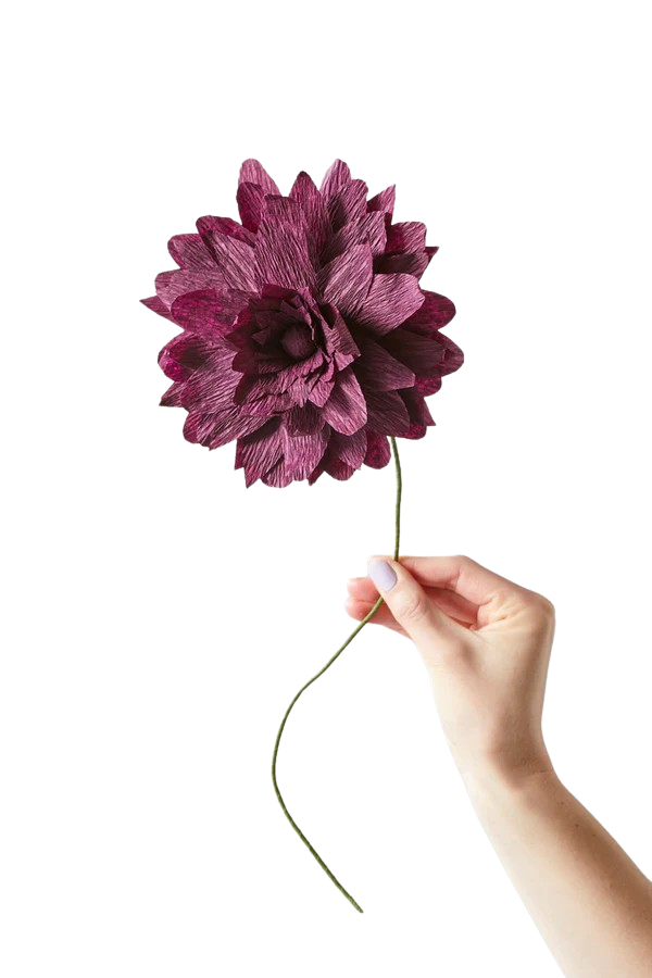 Studio About Paper Flower Grand Dahlia Aubergine