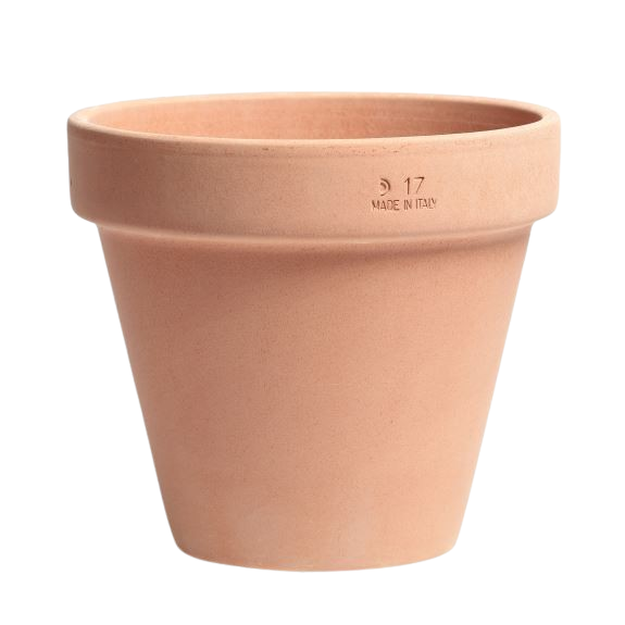2Have Terracotta potte 15 cm Inkl. Underskål