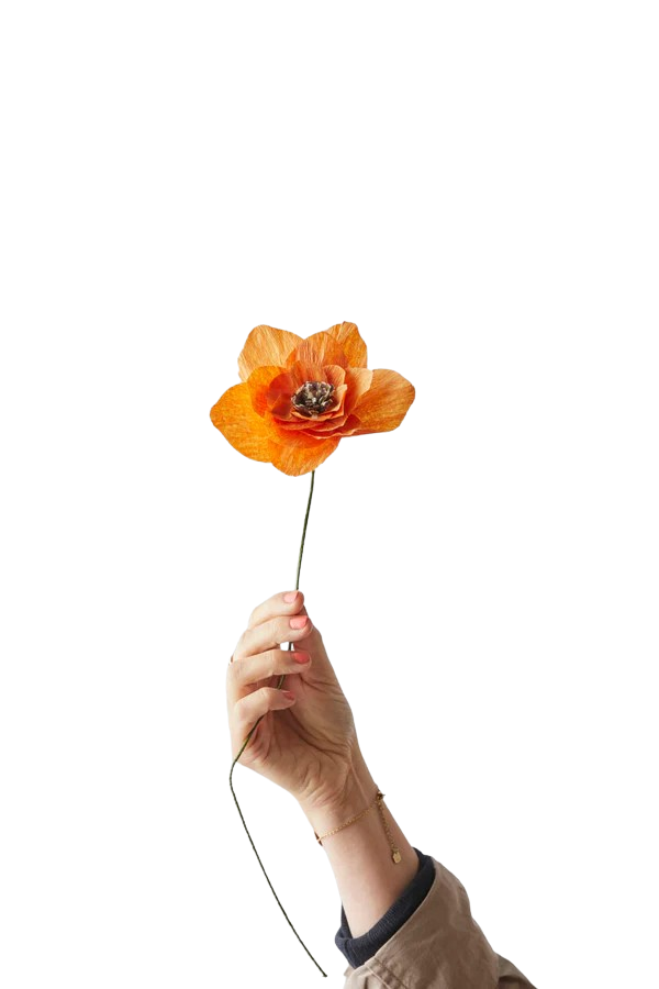 Studio About Paper Flower Poppy Orange
