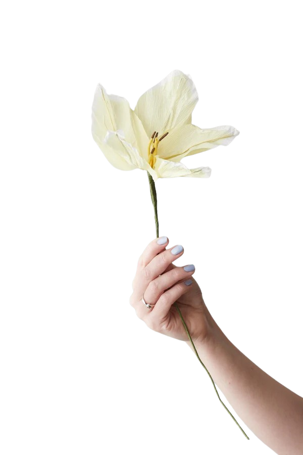 Studio About Paper Flower Lily Yellow