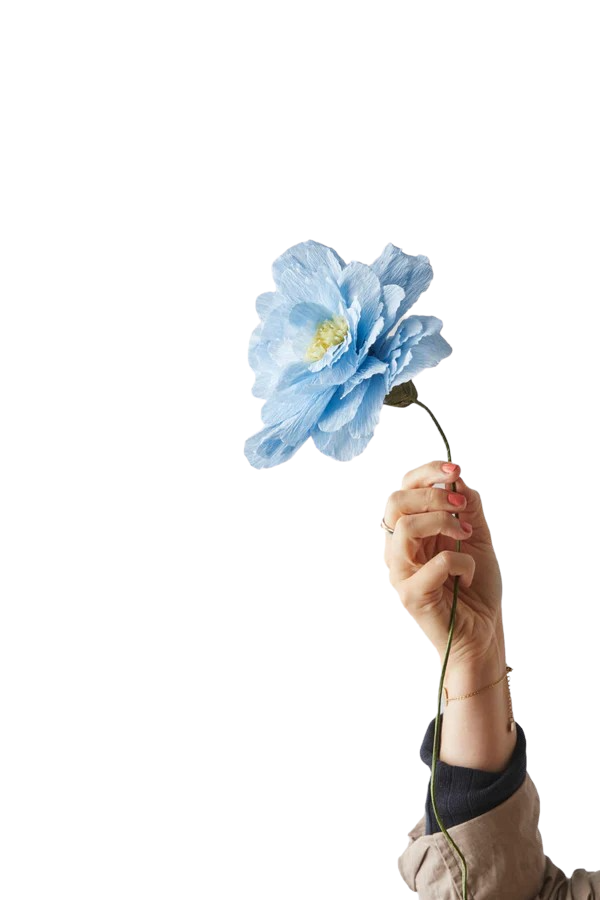 Studio About Paper Flower Grand Peony Blue
