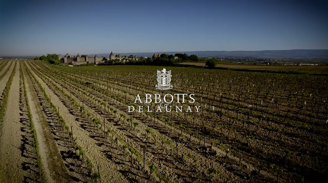 Abbotts & Delaunay Metayage Chardonnay øko ipg pays doc 2019